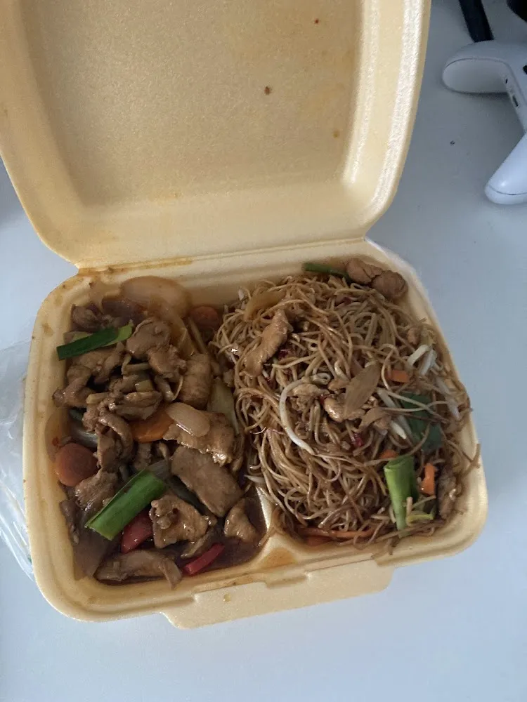 Nouilles Et Poulet Oriential